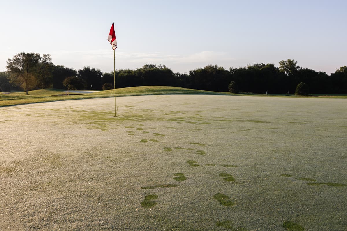 Practice putting green at Crooked Creek Golf Club featuring a flagstick, smooth turf, and scenic surroundings for short game practice.